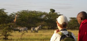 web_kenya_giraffe-monitoring